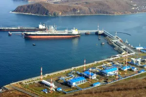 Морской торговый порт, Усть-Луг